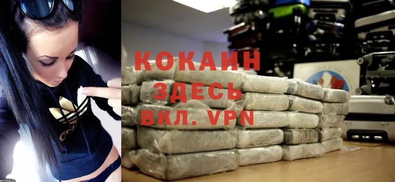 Cocaine FishScale Электрогорск