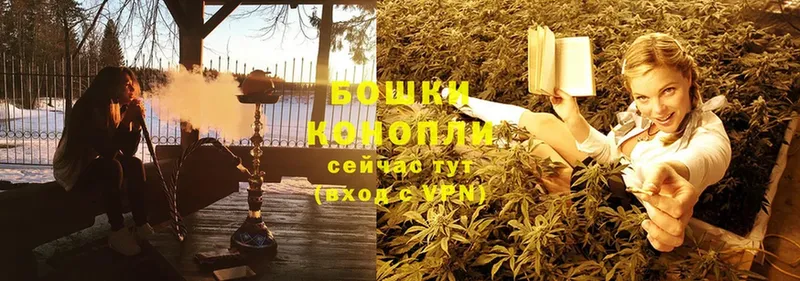 Бошки Шишки SATIVA & INDICA  Электрогорск 